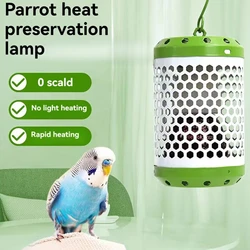 Reptile Heat Lamp Ceramic Heater Non-Luminous Bulb for Bird and Amphibian Pet Brooder Cage Incubation With Protective Case