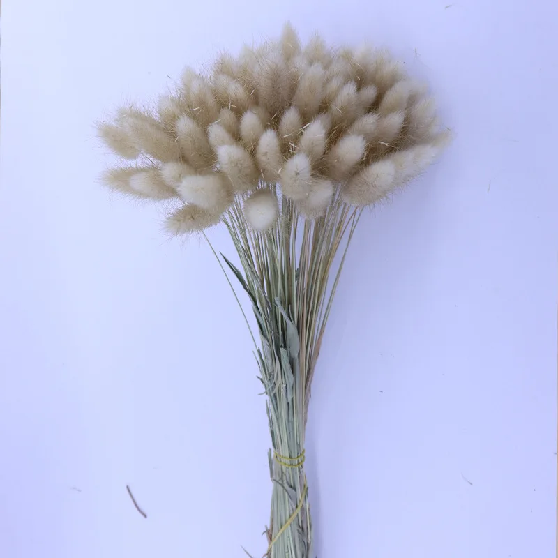 DIY creative dried flowers with rabbit tail grass, used for graduation shooting props, birthday, and living room decoration