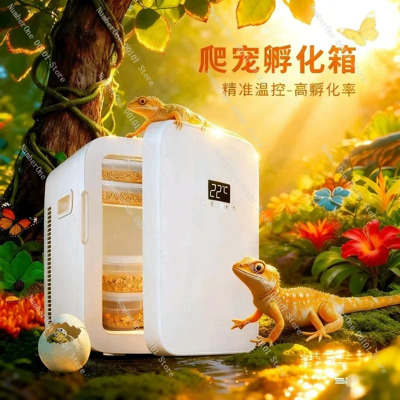 Reptile Breeding Terrarium, Habitat Enclosure for Turtle, Snake, Ant, Beetle & Crested Gecko