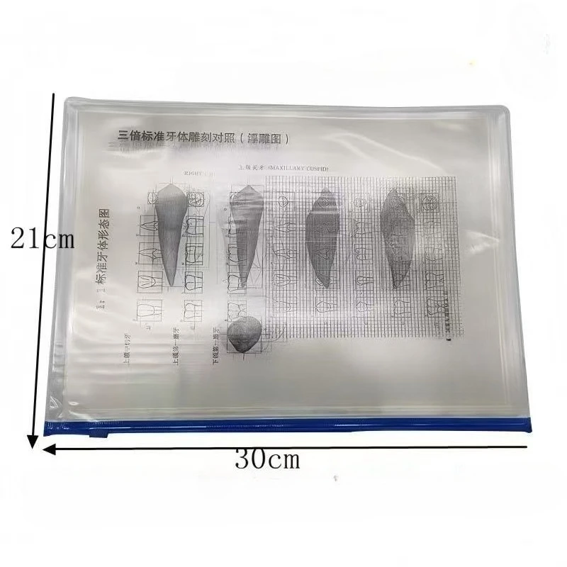 

Dental Materials Dental Relief Drawings Line Drawings Three Standard Dental Carving Comparison Transparent Drawings Oral Tools