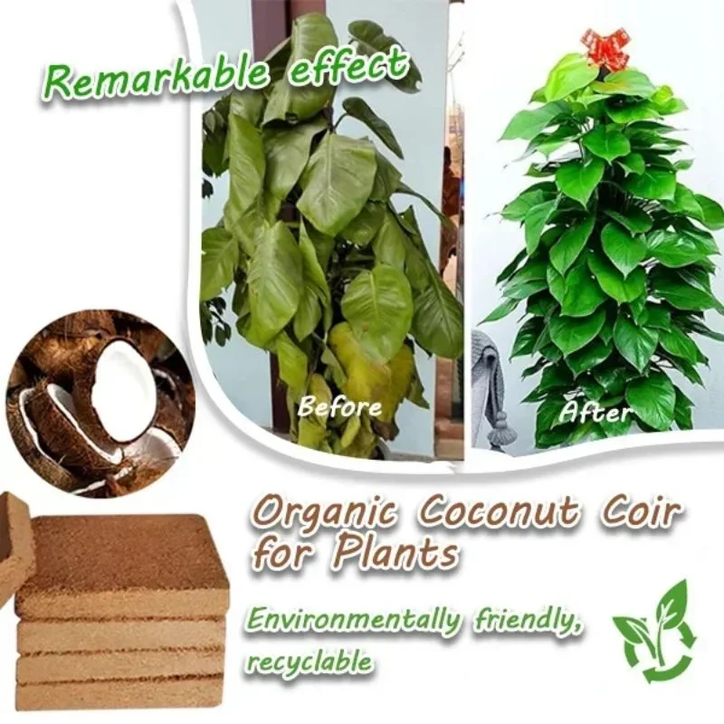 Organic Coconut Coir For Plants Plants Concentrated Seed Starting Mix Seed Starter Soil Block Compressed Coconut Stone