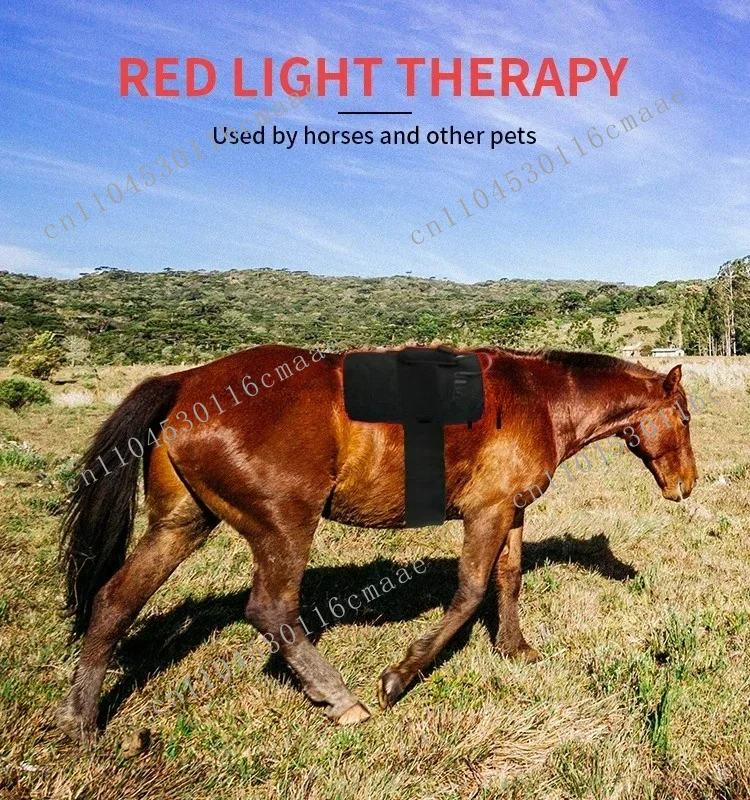 Bestselling   Horse Red Light Therapy  Equine Pet Animal 660nm 850nm Pain Relief Infrared Pad for Horse