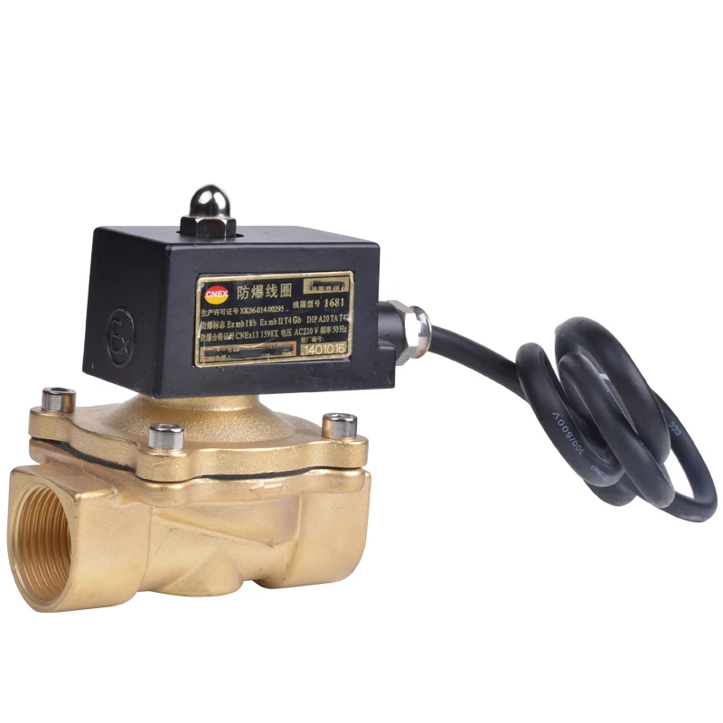 

2W200-20 brass material 10, 16 bar normally closed Gas Natural gas control valve Explosion proof solenoid valve