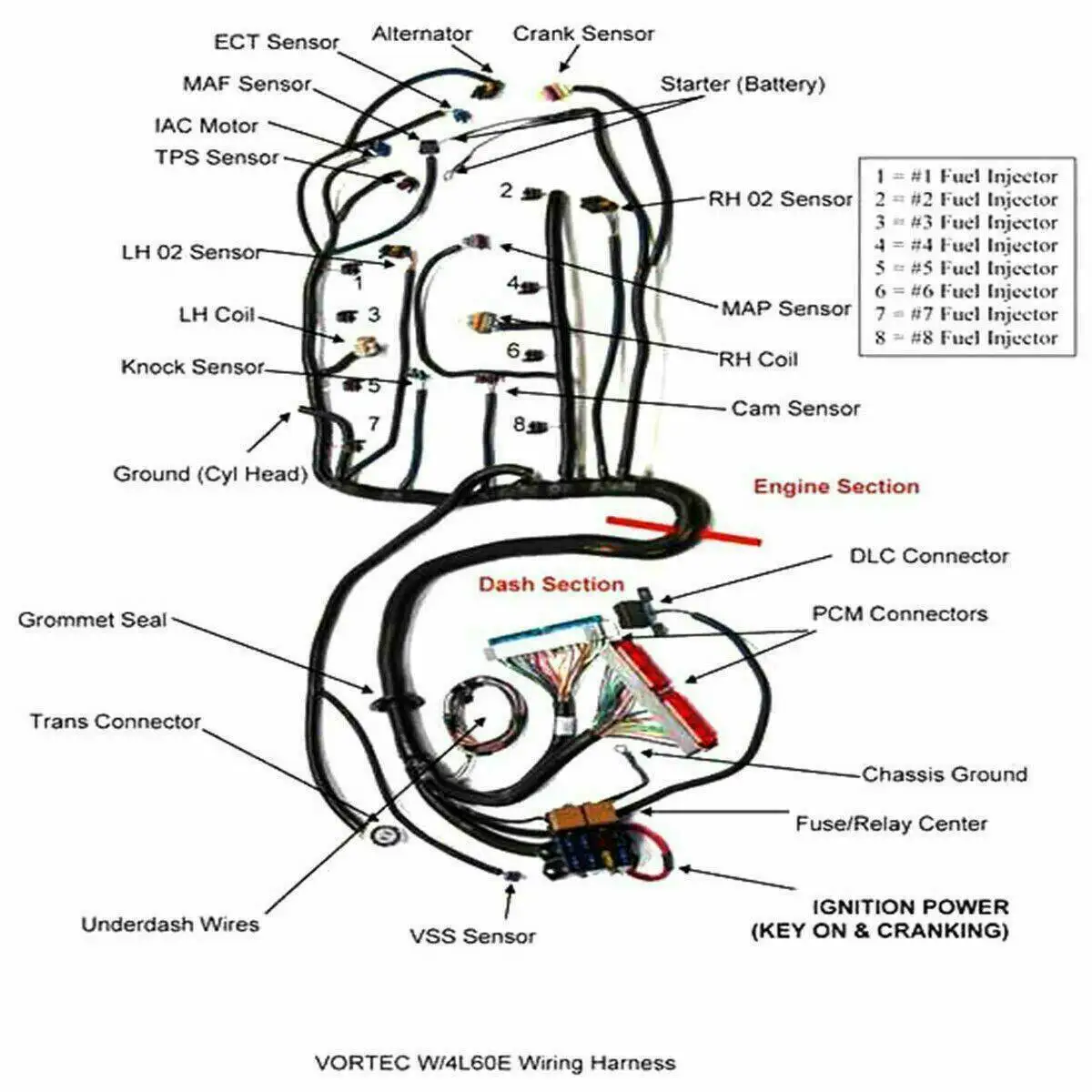 Standalone Wiring Harness w/4L60E for 1997-2006 GM LS LS1 Engine 4.8L 5.3L 6.0L