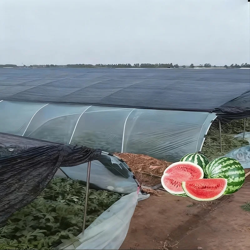 

Черная затеняющая сетка, навес для садовых растений, крышка для теплицы, тень для бассейна, теплица, скорость затенения иглы 3/4/6/12 40-85% ﻿ ﻿