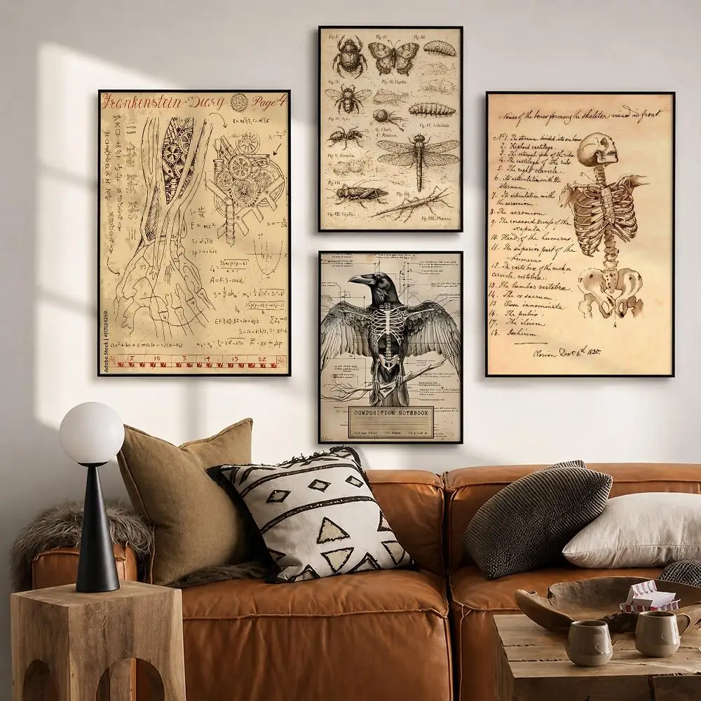 Rock Entertainment V-Victorian Anatomical PrintS Poster Vintage Retro Anime Poster Stickers Peel and Stick Wall Art Home Decor