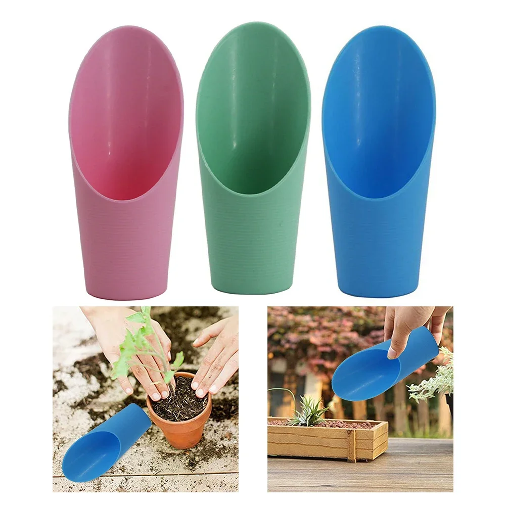 For Bonsai Transpla…