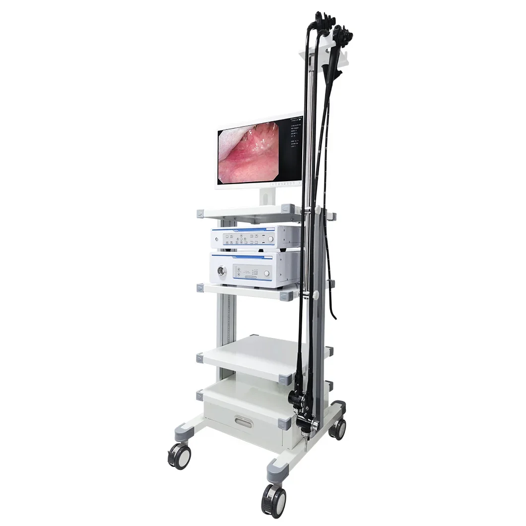 HMV-200&400 High Quality 2 In 1 Video endos/cope Flexible Waterproof Colon/oscopy and Gast/roscopy