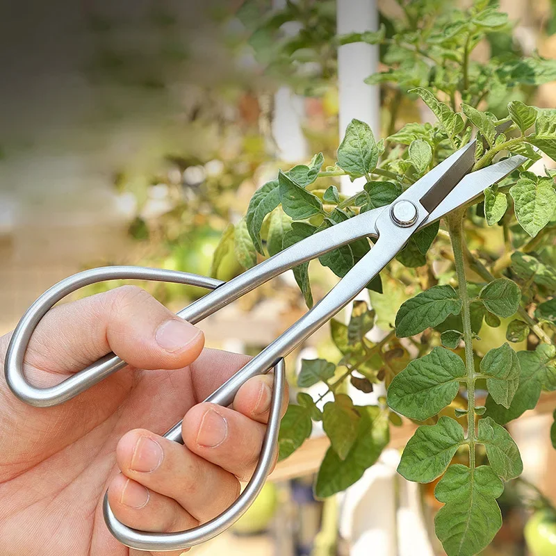 8.27 Inch Tender Leaf Bud Prunning Scissors Flower Art All-steel Integrated Pruning Potted Plants Gardening Horticulture Shear
