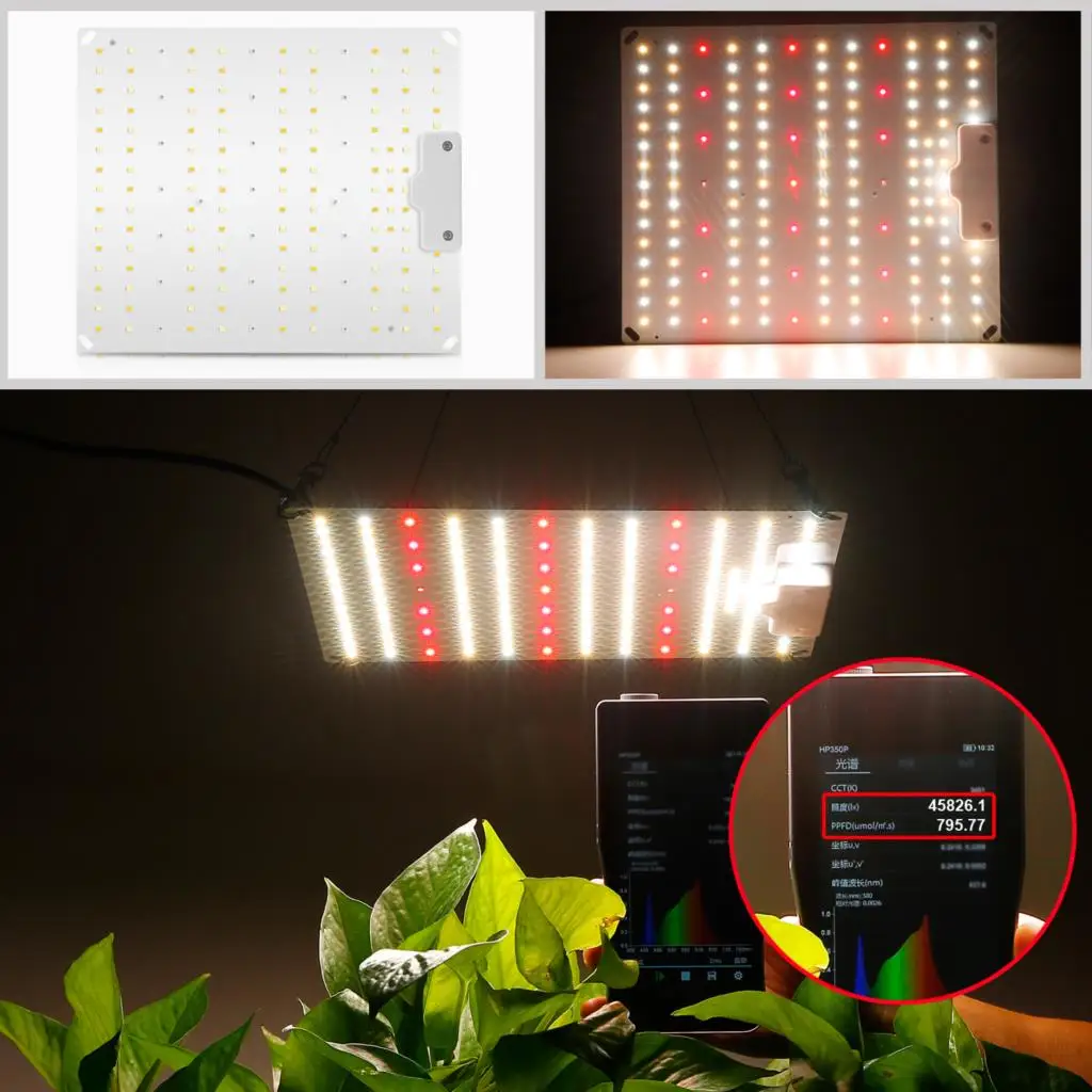 LED Grow Light 800W 700W 600W Samsung ไดโอดเต็มสเปกตรัมเงียบ QUANTUM BOARD, ใช้สําหรับเรือนกระจกเต็นท์พืช Hydroponic