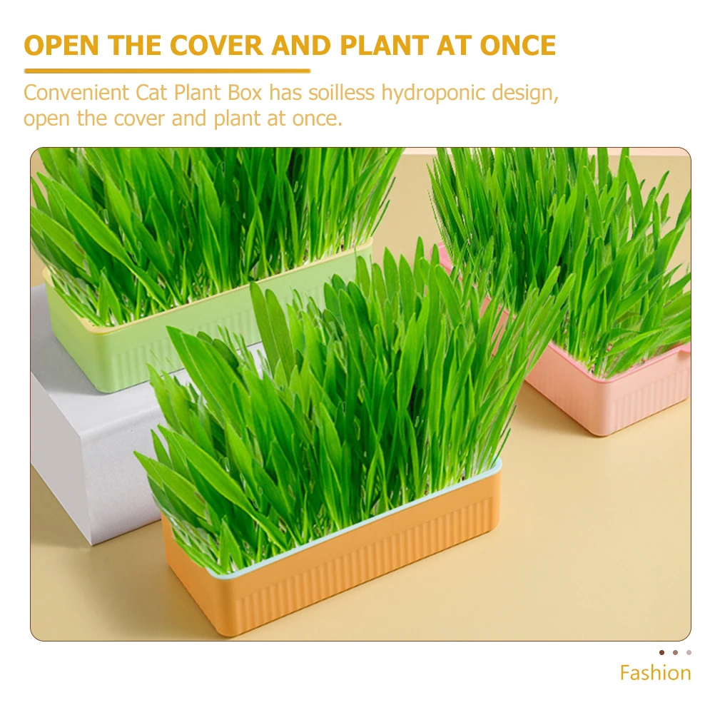 

3 Pcs Cat Grass Planter Indoor Plants Household Practical Plastic Plant Box Soilless Hydroponic Design Sprout Tray Easy Root