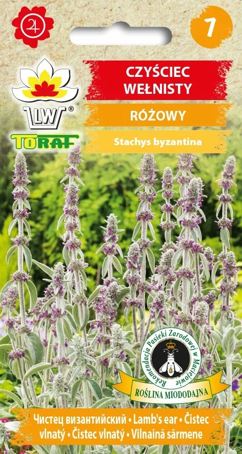 Roze Nassiona van bloemen Woolly Purgatory-483 Toraf