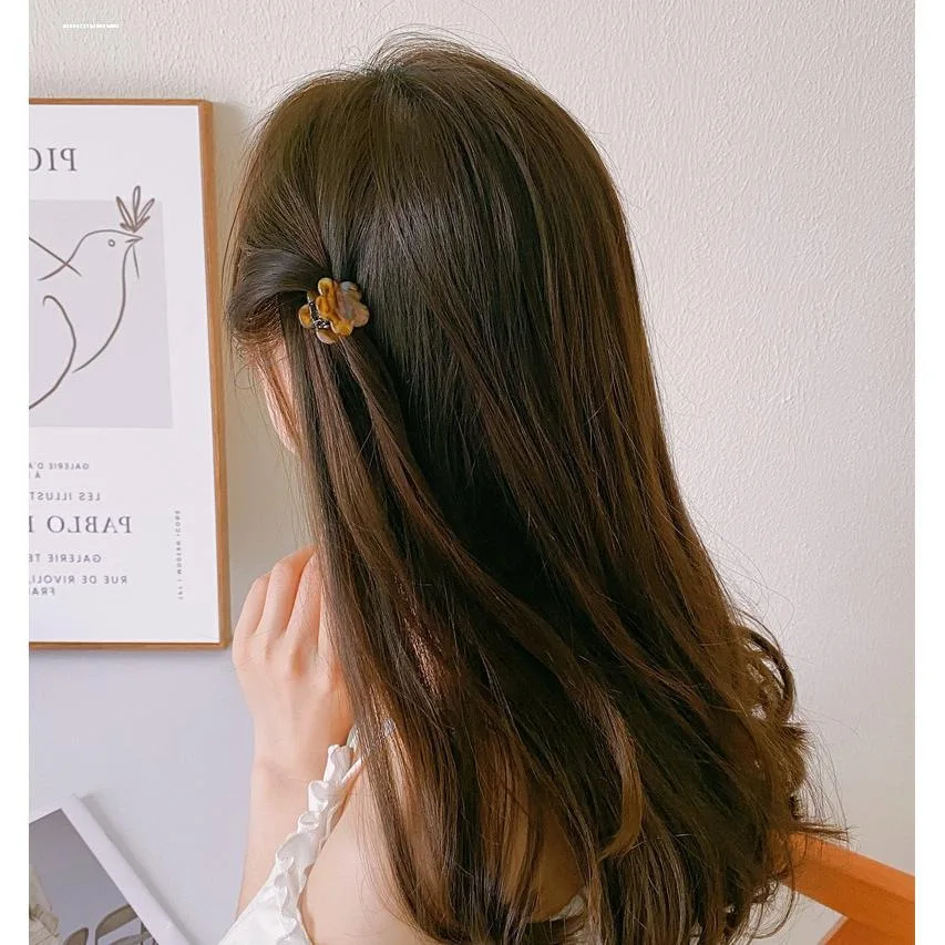 NEW Ponytail Shark Hair Clip for Women Claw Clip Thick Hair Acetate Hair Claw Clip Barrettes Hair Accessories