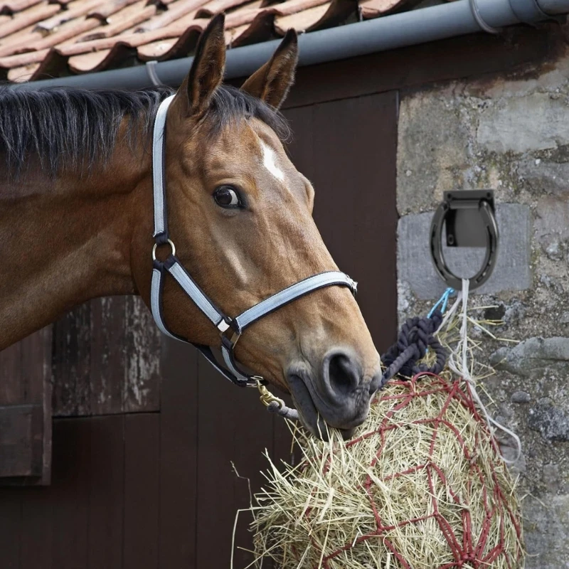 2 قطعة حلقات التعادل المعدنية الصلبة أداة العناية بالخيول حدوة الحصان الصلبان العلاقات أسفل حلقات الربط لاستخدام الفروسية سهلة #5