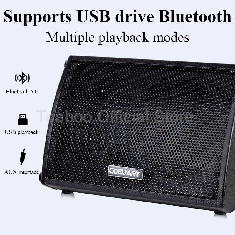 8 Inch Guitar Speaker 5.0 Bluetooth Speakers 6000mAh Chargable Audio 100W Built-in Amplifier 48H Play For Outdoor Music Practice
