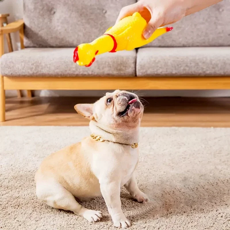 Divertenti giocattoli di pollo urlanti, suono di spremitura, digrignamento dei denti, adatti a cani di taglia piccola e media, prodotti per animali