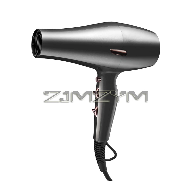 Asciugacapelli professionale 1600W Asciugacapelli ad alta potenza per parrucchiere Strumenti per barbiere Asciugacapelli Ventilatore