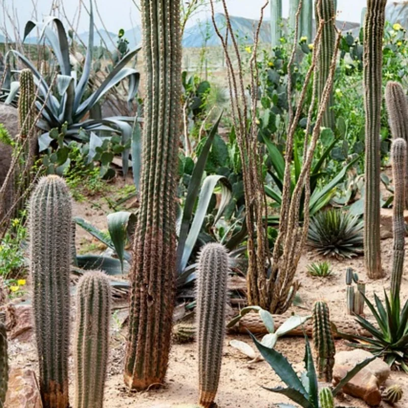 

Metal Front and Rear Axle Chassis Link Rod Pull Rod Mount Side Pedal Tire Set 1/16 RC Car Upgrade Parts for WPL 1/16 C64