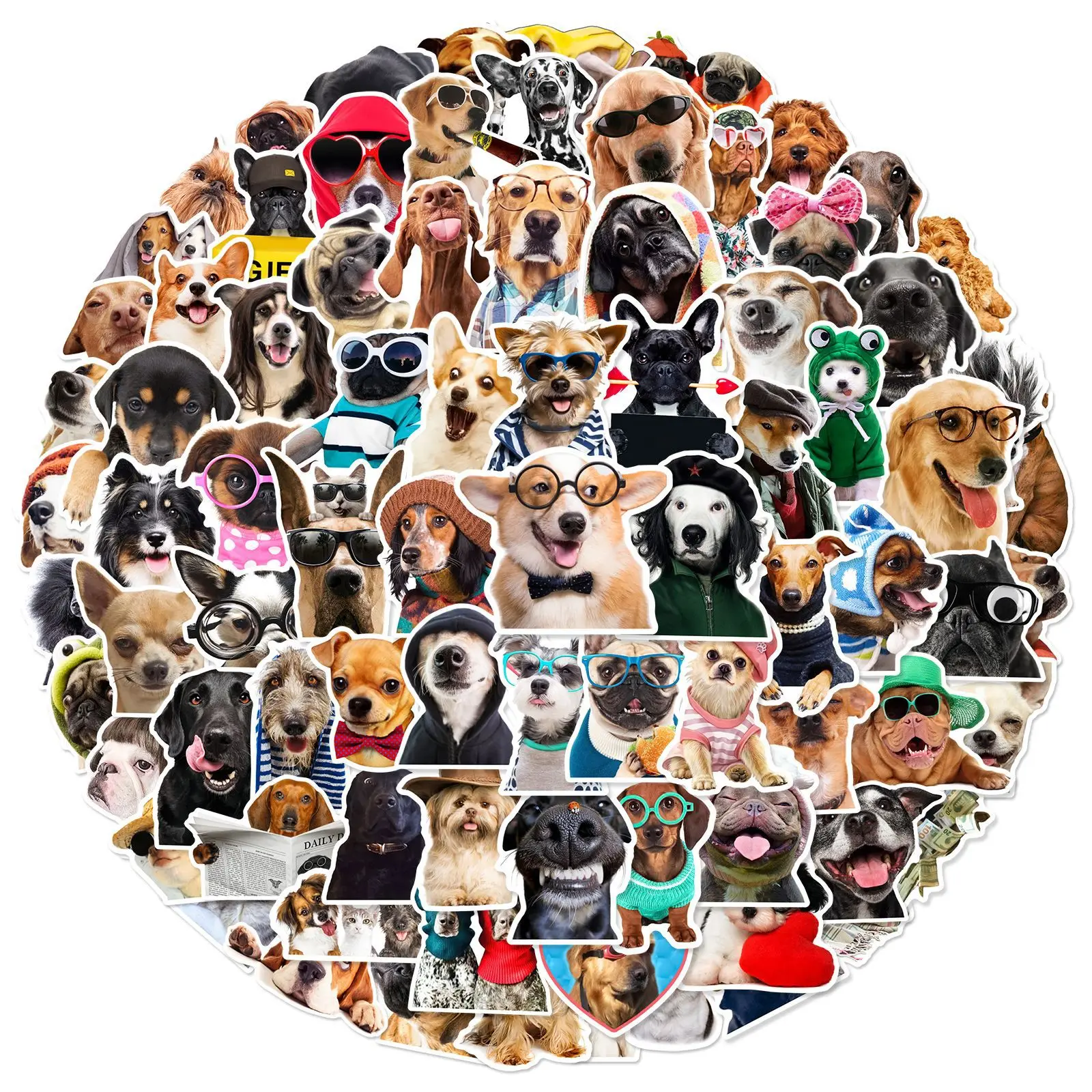 50/100 個面白い犬リアルなステッカーかわいい動物ミーム落書き装飾ノートブックスーツケースギター冷蔵庫おもちゃデカール