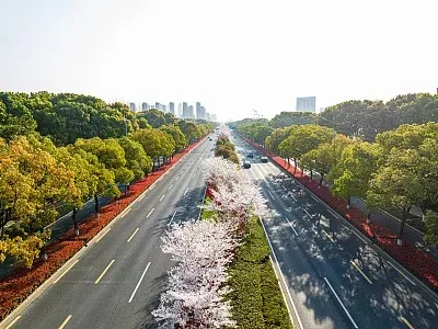 

Black Brass 1.0" Beadlock Wheel Rims -2.65mm With Tire For 1/24 1/18 RC Crawler Car TRX4M SCX24 FCX24 Upgrade