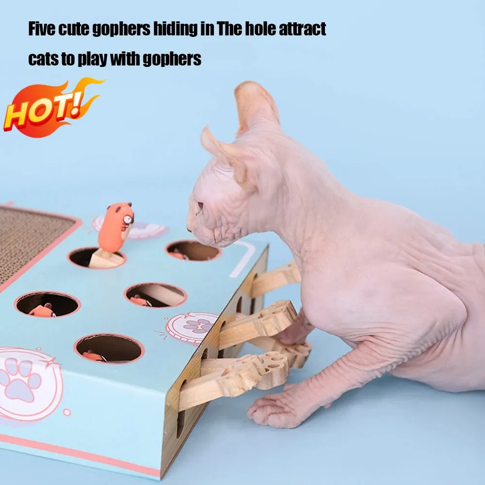 Cat Hit Gophers 3 in 1 Game Box Funny Cat Stick Toy Chase Hunt Mouse Maze Interactive Educational with Scratcher