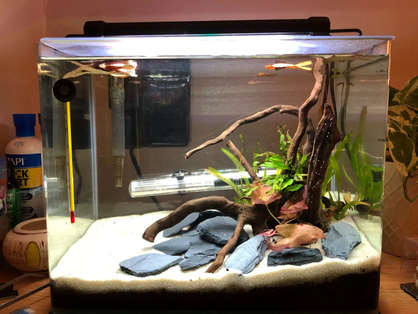 100g DIY造形景観用天然スレートロック、ジオラマ/鉄道模型/テラリウム/水槽/水槽/風景/ビバリウムの装飾用