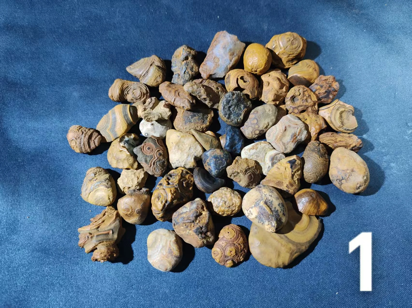 50pcs/lot gtian Bead RaSelected Premium Menw Stone Specimens Beautiful Unique with Eye Patterns Powerful Energy Stones