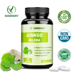 Ginkgo Biloba - Brain Health,  Memory Support, Concentration, Help Keeps Alert and Sharp, Non-GMO