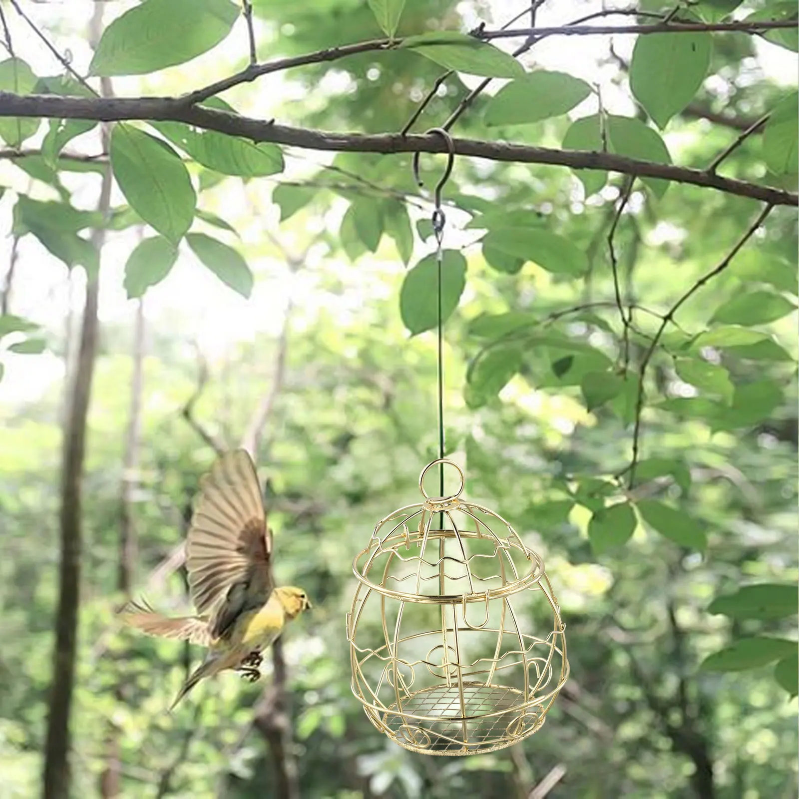 Metal Fat Ball Feeder for Birds Pack of 4 with Round Lid and Hook for Easy Refill Use in Yards Parks or Nature Areas