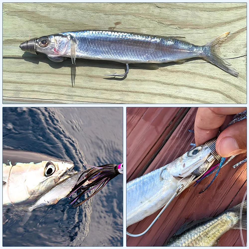 20 قطعة Ballyhoo الطعم تزوير الينابيع الفولاذ المقاوم للصدأ الكارب الصيد الطعم مغذيات أدوات المياه المالحة التصيد إغراء الصيد اكسسوارات #6