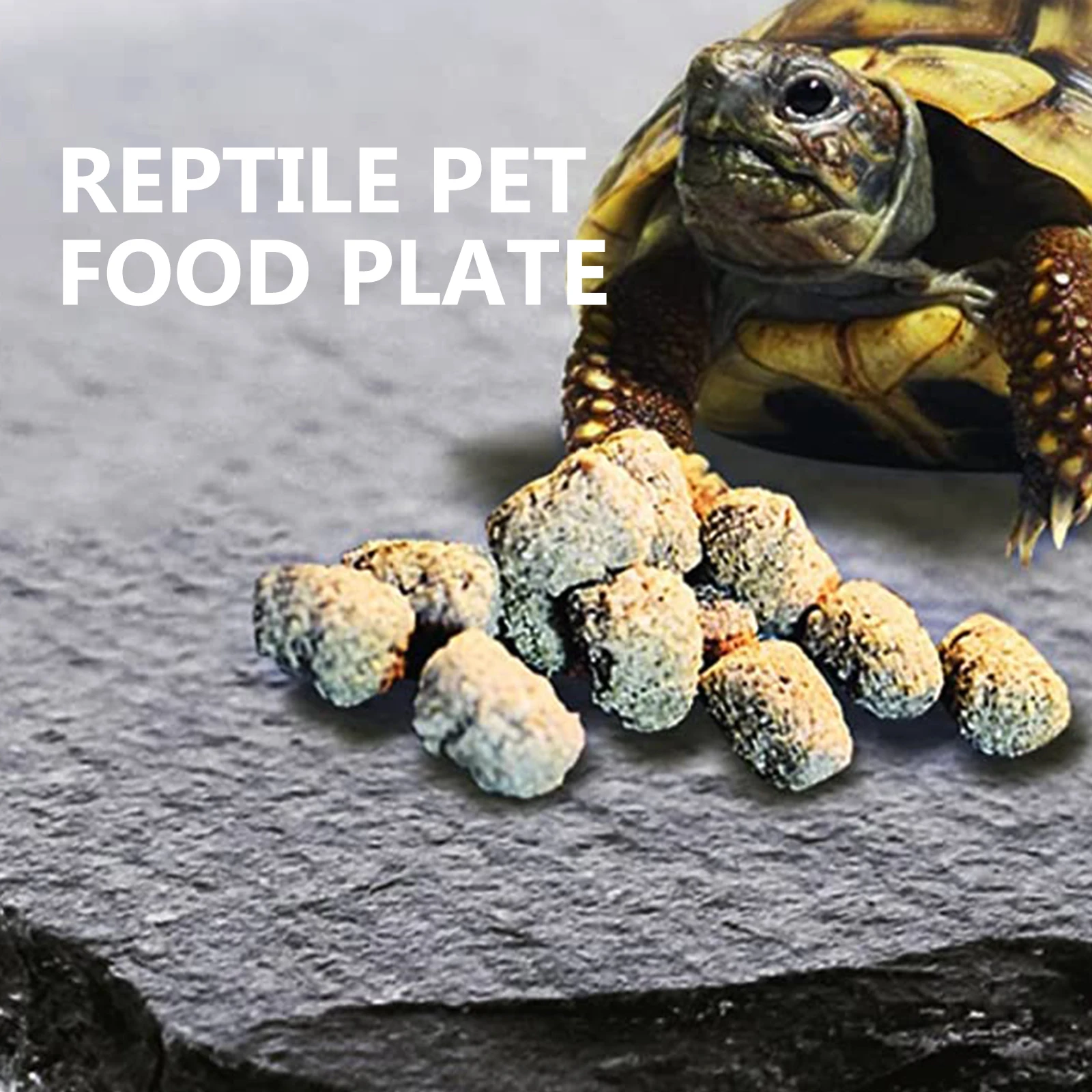 

Reptile Feeding Plate Natural Stone Food Basin for Turtle Lizard Gecko Snake Resting and Dining Decorative Aquarium Accessory