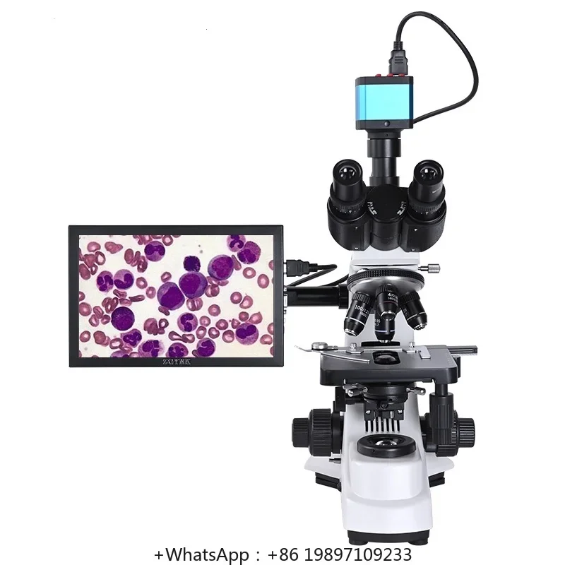 Professional Binocular Microscope BM-500T Highpower Scientific Research Display High-resolution Video Biological Powder Particle