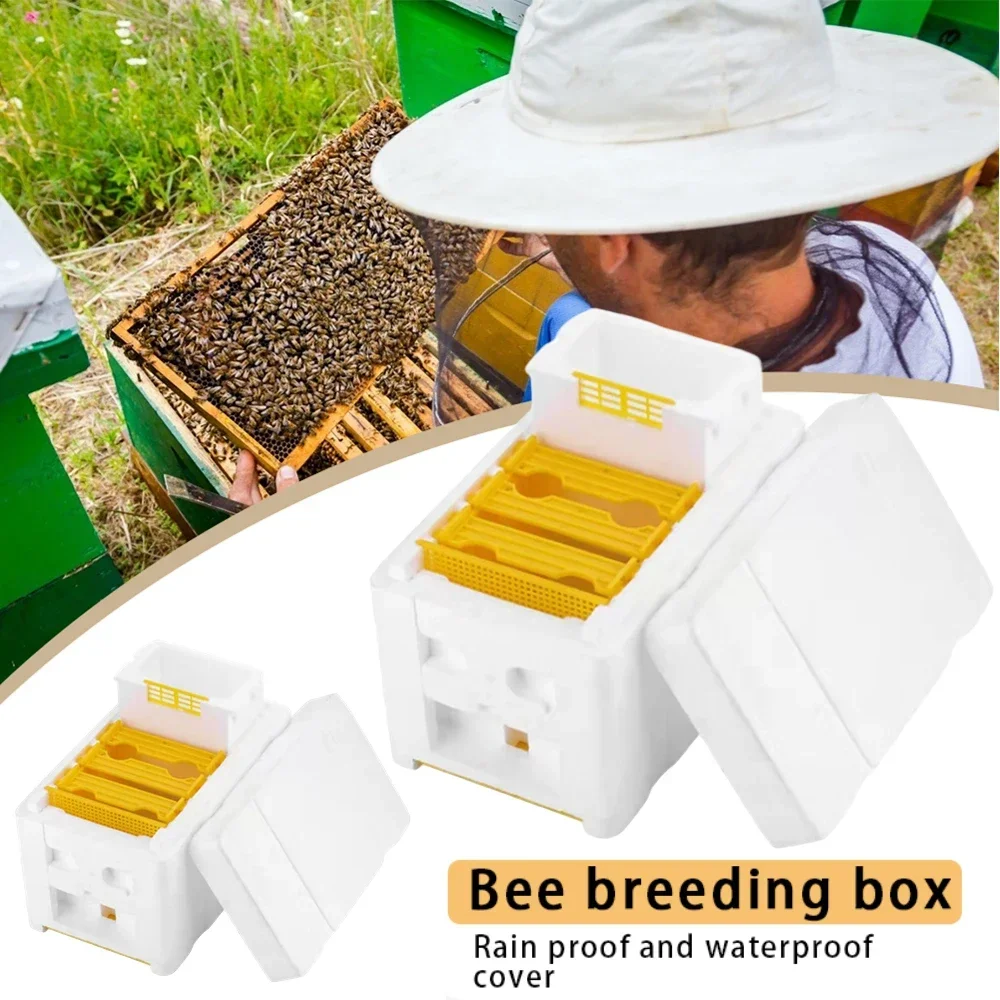 1/2PCS Beehive Beekeeping Box Foam Bee Breeding Box Queen King Bee Hives Boxes Pollination Bee House Beekeeping Equipment