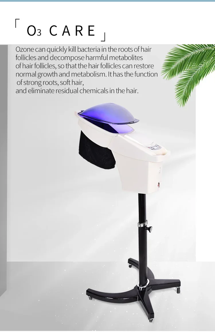 

Professional Micro Mist Ozone Hair Salon Steamer With Stand&Hair SPA Standing O3 Hair Steamer