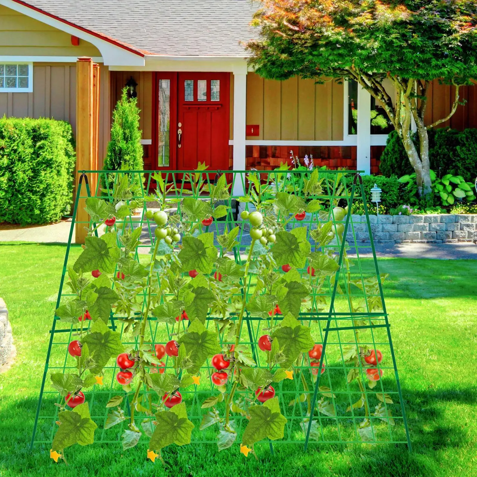 

Plant Support Easy Assembly Greenhouse Tomatoes A Frame Garden Trellis Cucumber Trellis for Vine Pea Gardening Vegetables Grape