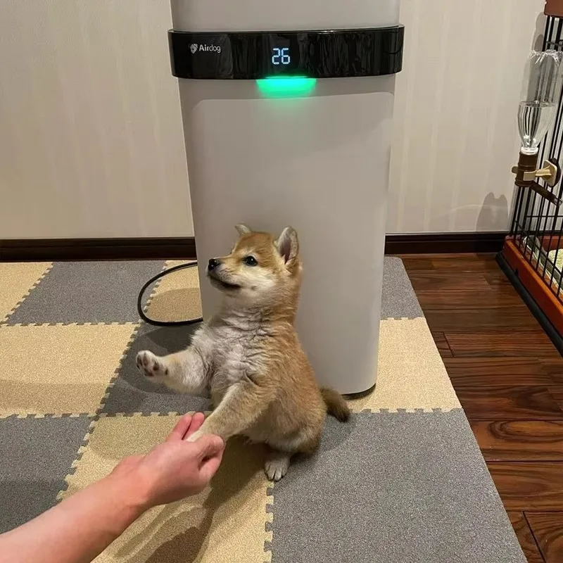 Airdog Purificação Forte Filtro Reutilizável Purificador de Ar para Quarto de Estimação Limpeza de Ar