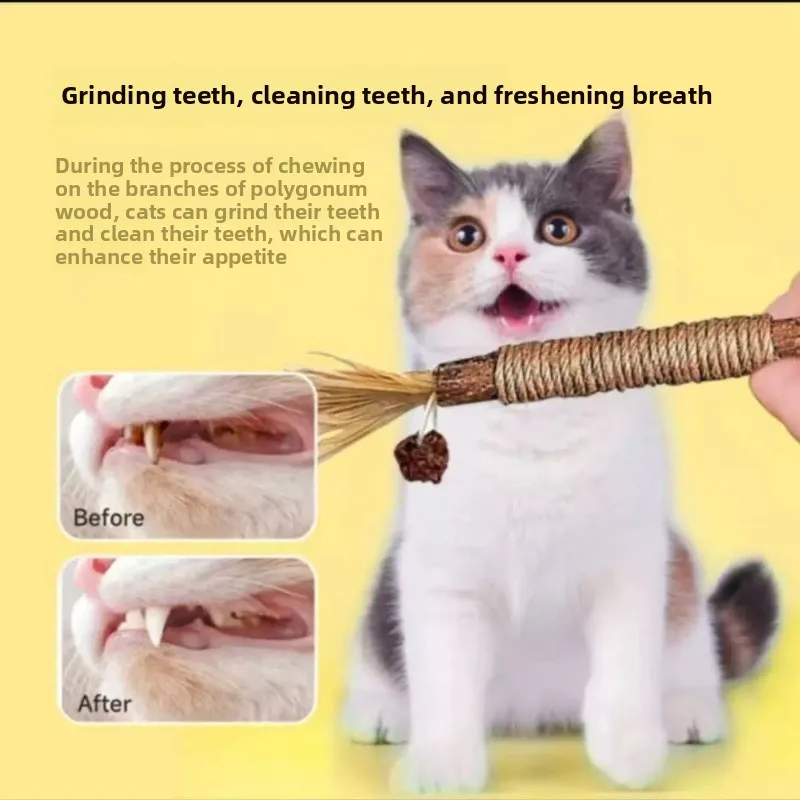 Insect Gall Fruit Wood Knotweed Cat Teething Stick Cat Toy Teeth Cleaning Kitten Bite-Resistant Mint Pet Cat