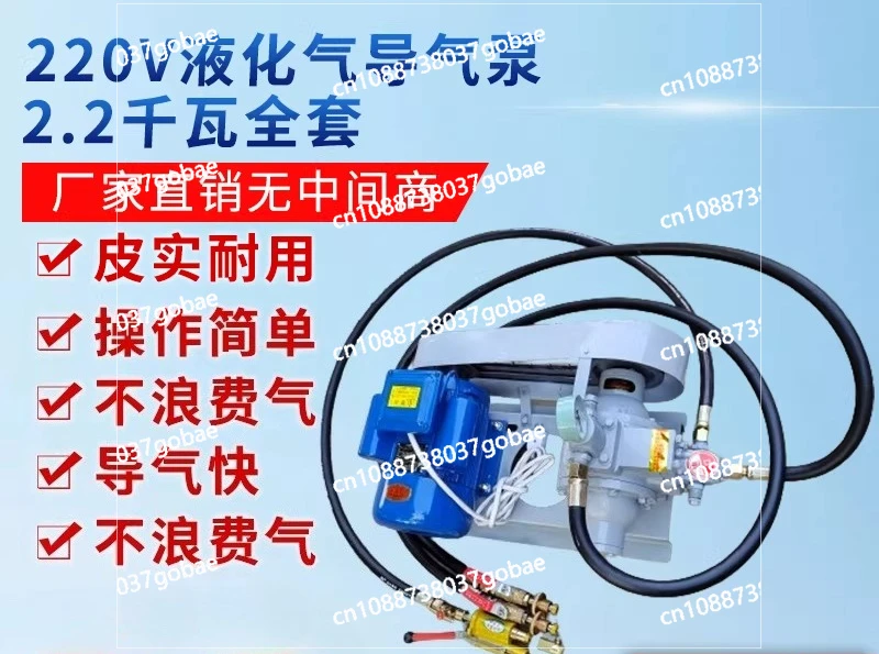 

Насос для сжиженного газа 220В, автомобильный насос 12В, насос высокого давления 48В