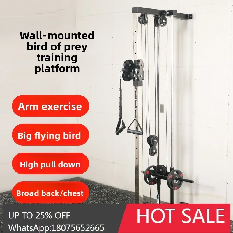 MJY Multifunctional Wall-Mounted Comprehensive Trainer High Pull Down Back Shoulder Clamp Home Equipment