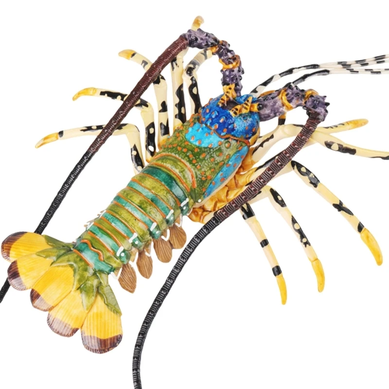 

Realistic Lobster Figurine Perfect for Home Decor Office Display Artificial Animal Figure Elaborate Photo Props D5QF