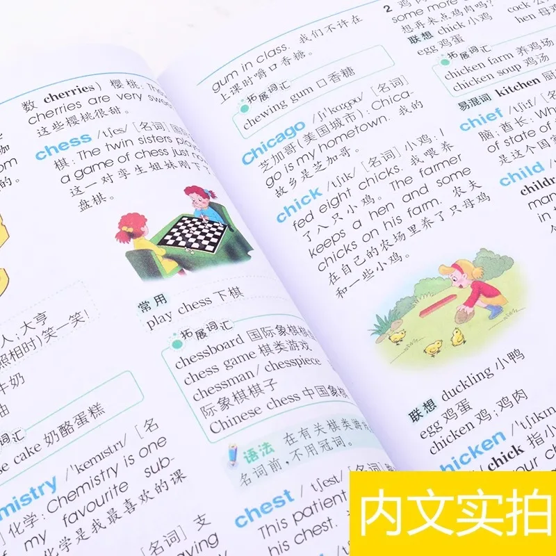 Kamus Bahasa Inggris Cina Sekolah Dasar, Buku Referensi Bahasa Inggris Multifungsi