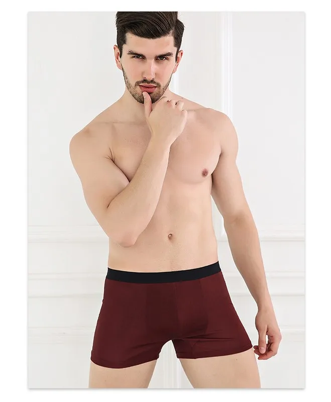 2 Pairs Mulberry Silk Underwear Men Briefs Thin Silky Cool Briefs Protect Sperm