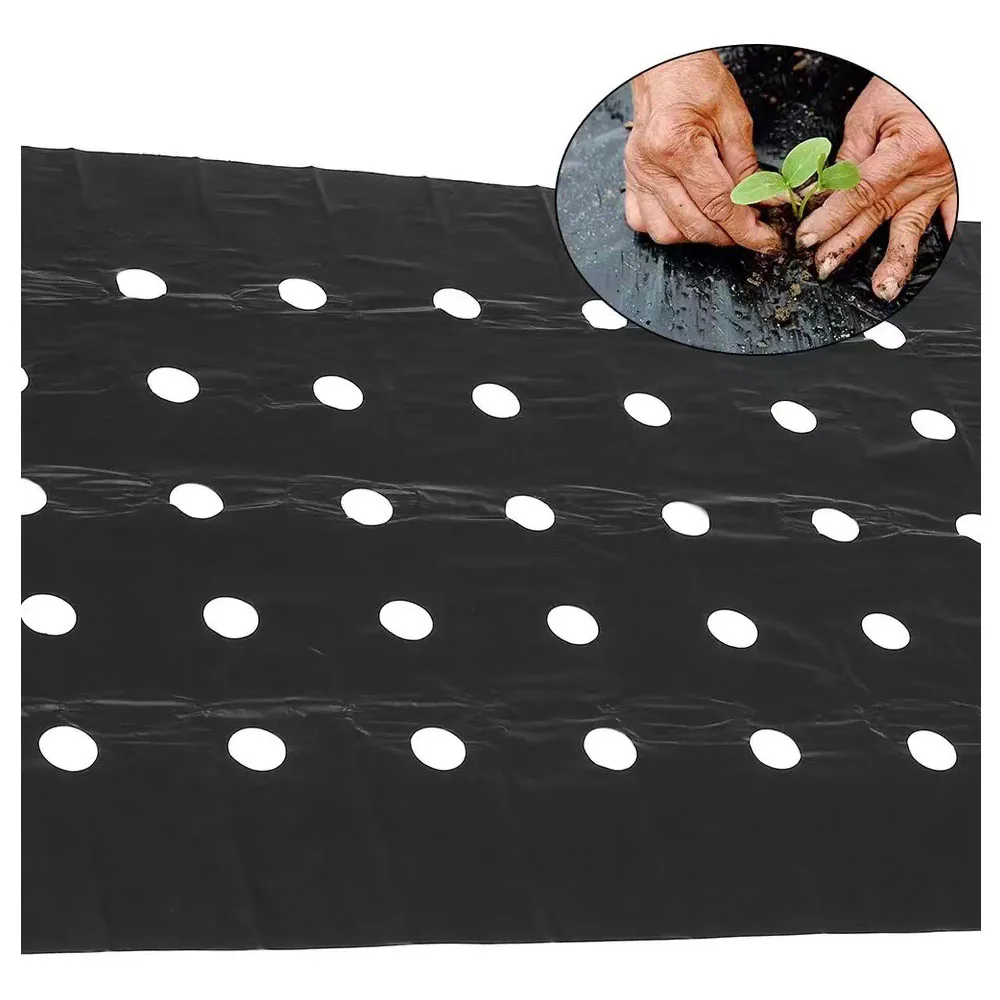 Frantoche agrícola, filme plástico pré-perfurado de 5 furos, controle de ervas daninhas de estufa mylar morango ferramentas de plantio de vegetais 0,95x10m