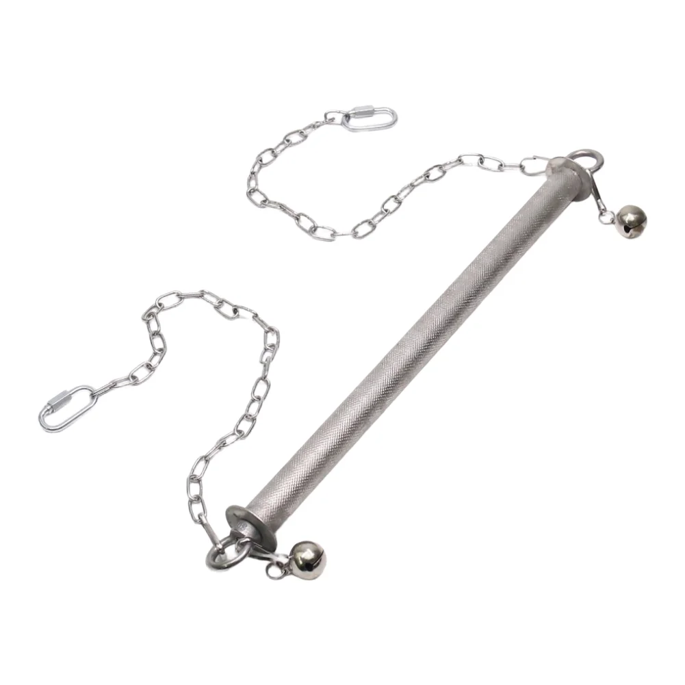 Parrot Swing Toy Constructed from Stainless Steel Designed for Long Lasting Use in Aviaries Cages and Indoor Play Spaces