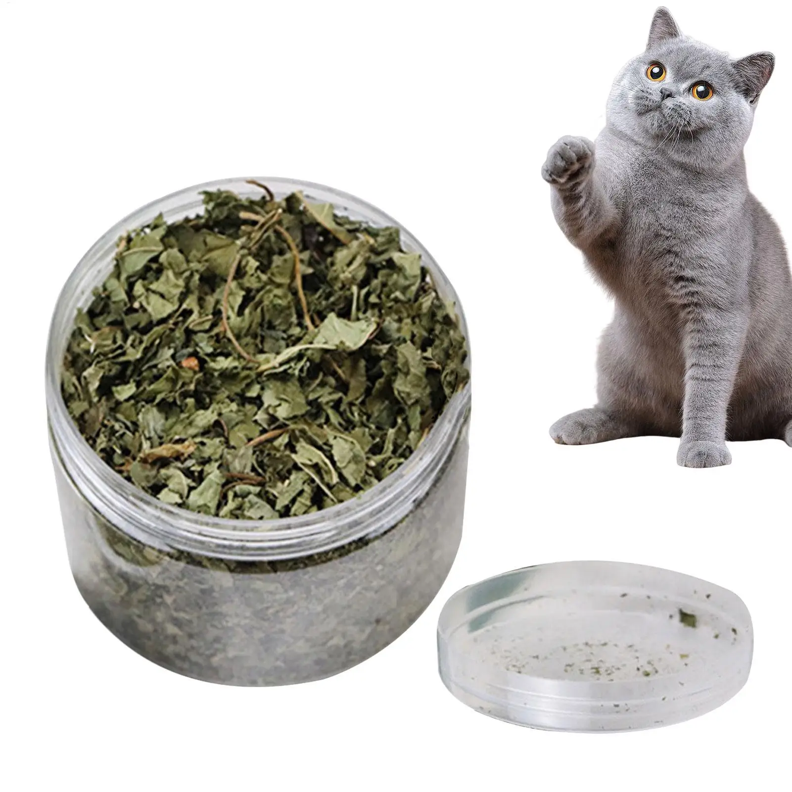 Catnip Natural Premium, elija hojas frescas de hierba gatera para gato y gatito, se puede rociar en juguetes y juguetes con hierba gatera, dropship