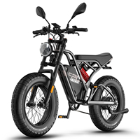 FAFREES F20 ULTRA Adult Electric Bike, 750W Motor Electrical Road Bicycle, 48V 25Ah Battery E-bike, 20*5\