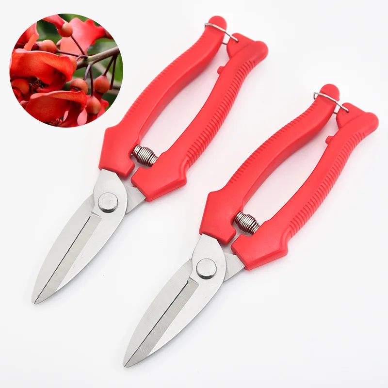 Fruit Tree Pruning Shears Knife Garden Bonsai Greenery Pruning Household Flower Repair Grape Scissors Special Tool Fruit Thinnin