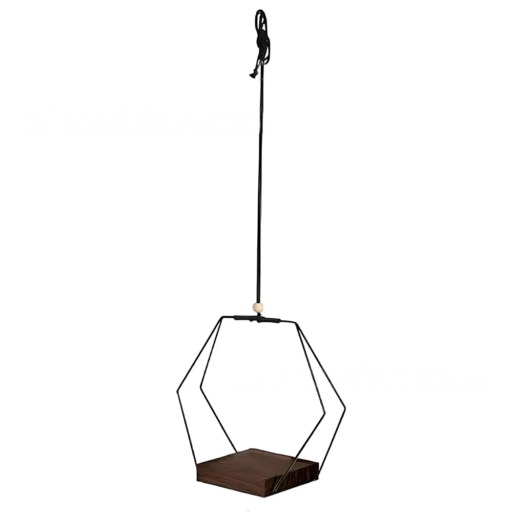 Metal Hexagonal Hanging Plant Stand for Indoor Greenery with Iron Ring and Wooden Base Space Saving Vertical Garden Holder