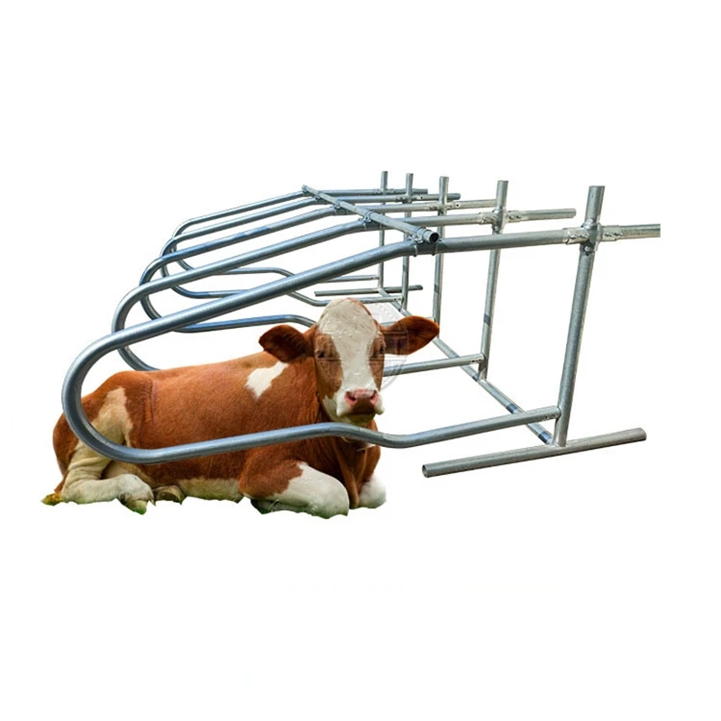 Cow Rest Bed Dairy Farm Hot Dip Galvanized Single/Double Row Type Dairy Cow Free Stall