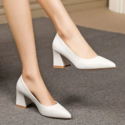 Large high-heeled shoes women 2024 new style thick-heeled pointed light-mouthed single black mid-heeled working women's shoes